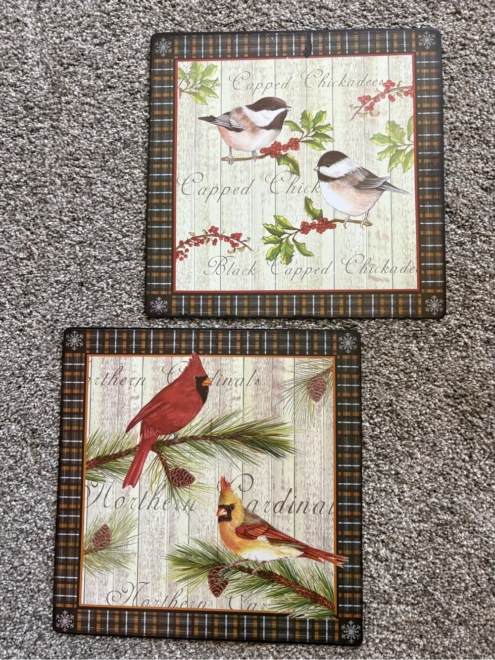 Metal Bird pictures (2)